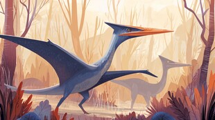 森林中展翅的远古翼龙