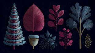 复古风植物元素插画集合