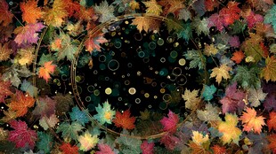 秋日枫叶环绕的梦幻背景