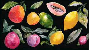 水彩绘多彩水果集合