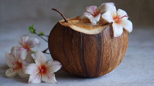 椰壳盛饮配娇艳花朵