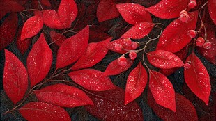 红叶片片 露珠点点