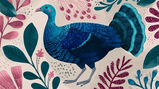 蓝羽火鸡置身缤纷植物间