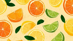 柑橘类水果切片插画图案