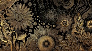 金色花卉微观艺术画面