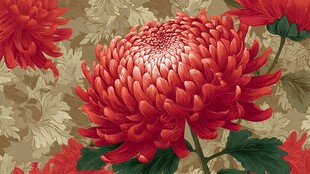 艳丽红菊绽放复古背景