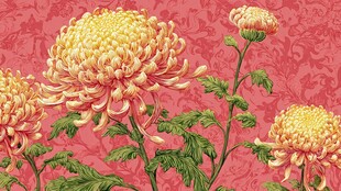 复古风黄菊花卉图案背景