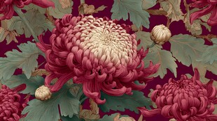 深红菊花与绿叶精美图案