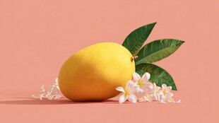 黄柠檬配白花清新画面