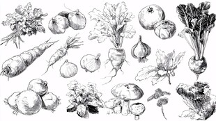 手绘蔬菜瓜果素描集合