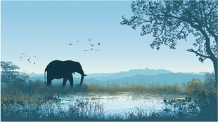 独象漫步于旷野湖畔