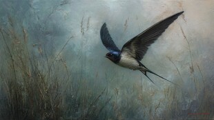 飞翔的燕子 朦胧自然之美