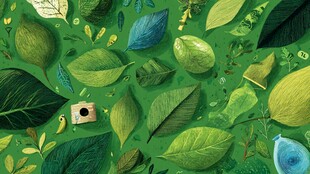 1 梦幻绿叶间的生机景象