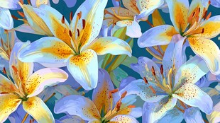 梦幻百合花卉图案