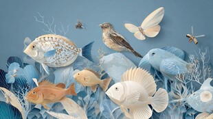 海洋生物与飞鸟的纸艺世界