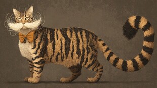 优雅虎纹猫的奇幻模样