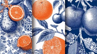 蓝白风水果花卉图案设计