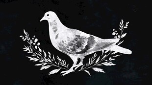 白鸽与枝叶的优雅图案