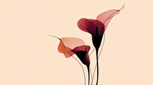 梦幻马蹄莲插画