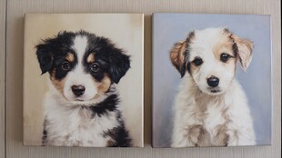 两幅可爱幼犬绘画作品