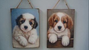 可爱萌宠小狗挂画装饰