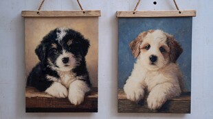 可爱萌犬挂画展示