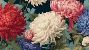 多彩菊花花卉图案背景