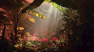 神秘雨林中的梦幻光影世界