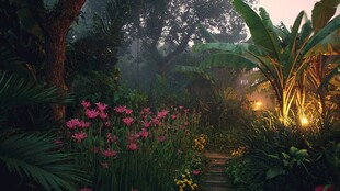 梦幻丛林中的花卉小径