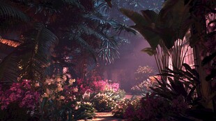 梦幻丛林中的神秘花卉小径