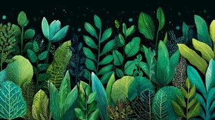 梦幻绿植夜景插画