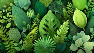 繁茂绿植构成的自然图景