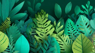 热带绿植插画 清新自然风