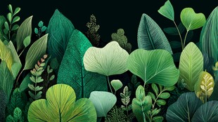 梦幻绿植背景图