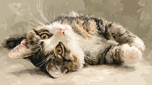 俏皮小猫惬意躺姿