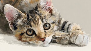 趴着的三色小猫油画