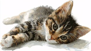 可爱小猫咪侧卧萌态尽显