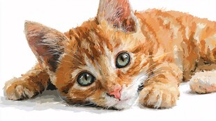 趴着的可爱橘色小猫