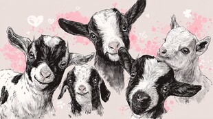 可爱小山羊群萌趣插画