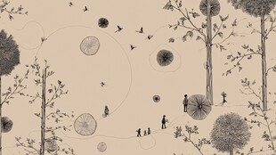 森林中的漫步与飞鸟景致