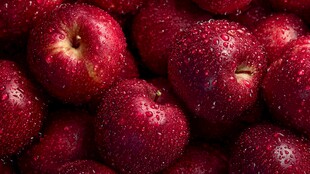 红彤彤带水珠的新鲜苹果