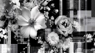 黑白花卉与几何图案拼贴