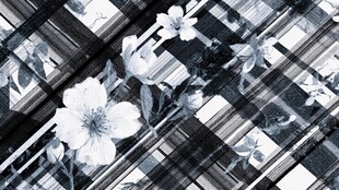 黑白花卉格纹图案设计