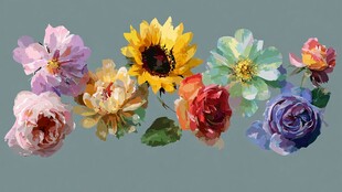 多彩水彩花卉组合