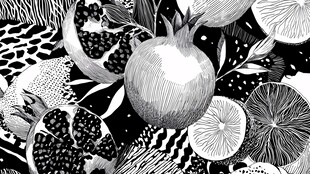黑白风水果插画艺术作品