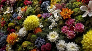 多彩花卉绿植组成的花墙