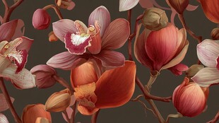 艳丽多彩的娇美兰花绽放