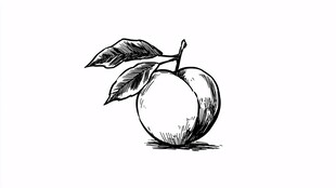 手绘桃子插画