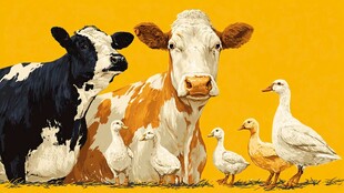 农场动物齐聚的温馨画面