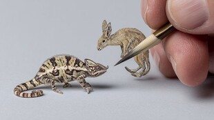微雕动物 变色龙与小兔